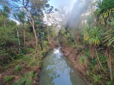 Henderson Park, photo 2