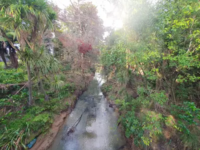 Henderson Park, photo 3