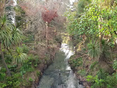 Henderson Park, photo 4