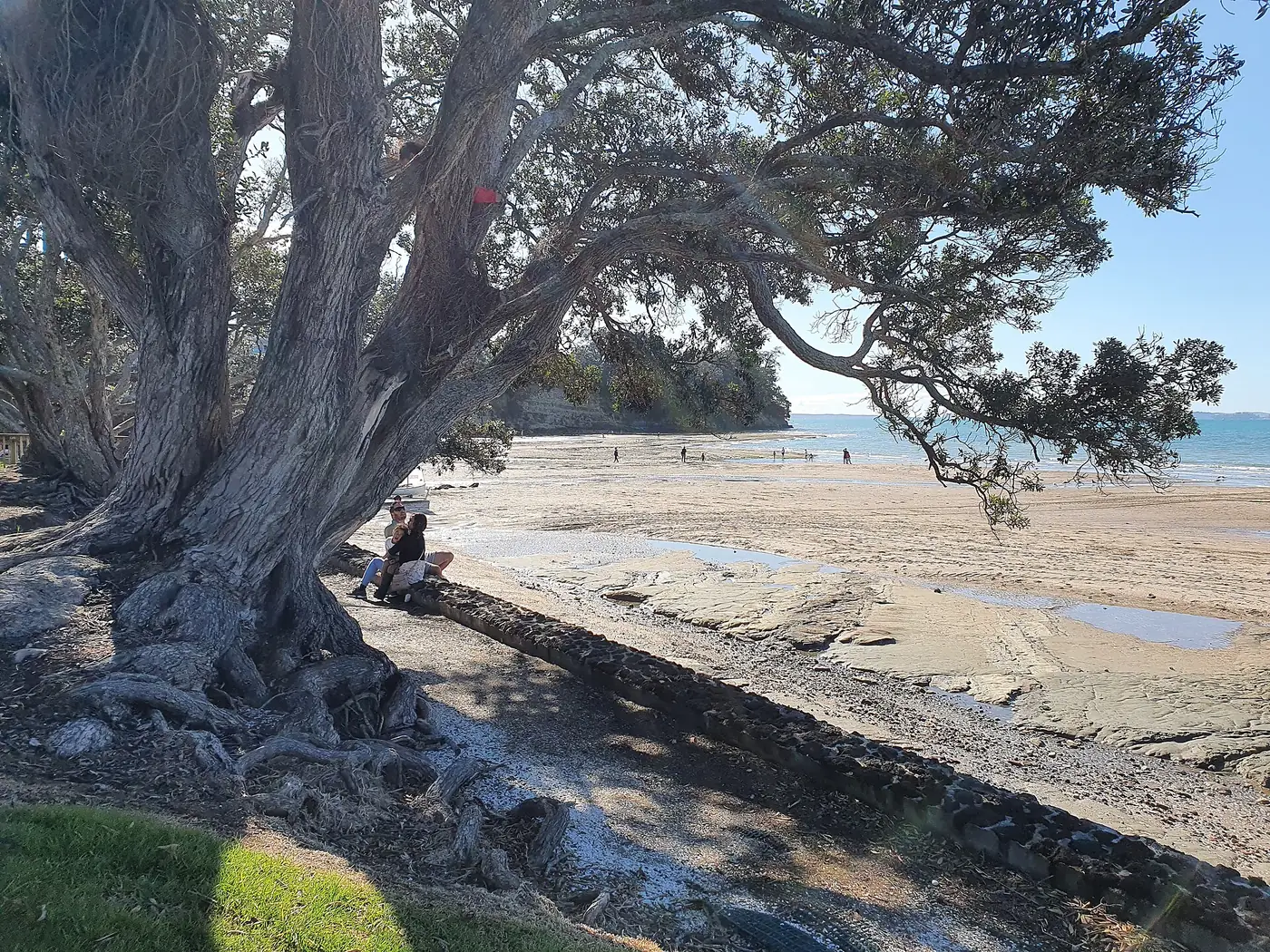 Howick Beach in Howick