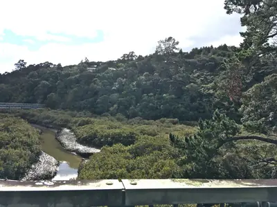 Kaipātiki Reserve in Glenfield