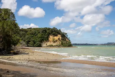 Kauri Point Beach, photo 2