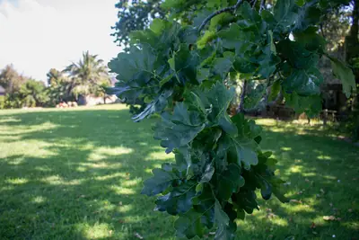 Kennedy Park, photo 4