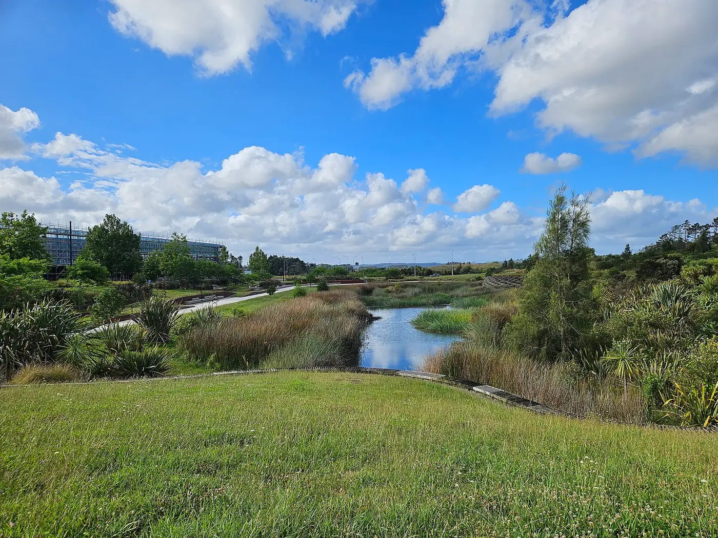 Kopupaka Reserve in Westgate