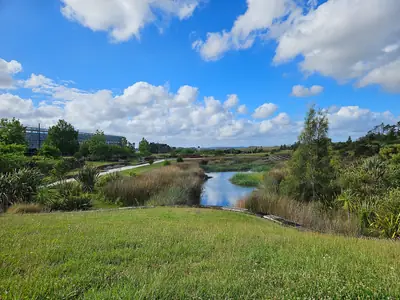 Kopupaka Reserve in Westgate