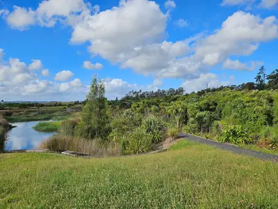 Kopupaka Reserve, photo 3