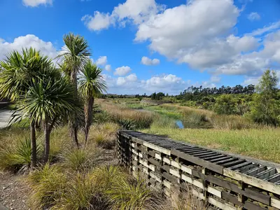 Kopupaka Reserve, photo 4