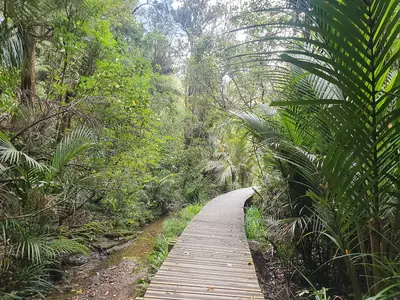 Le Roys Bush Reserve in Birkenhead
