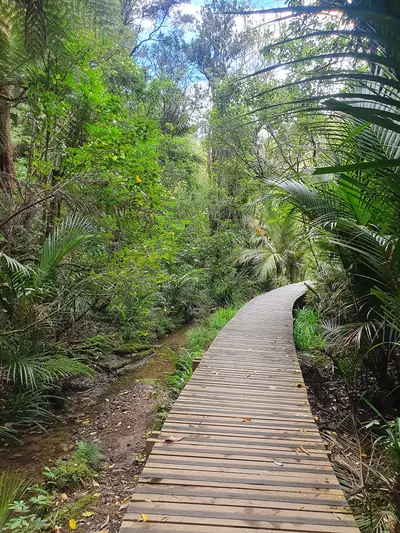Le Roys Bush Reserve, photo 2
