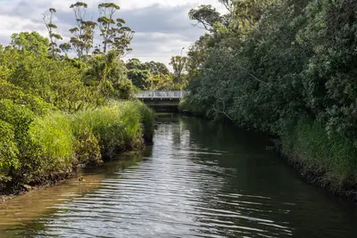 Long Bay Regional Park (Te Oneroa ō Kahu), photo 3