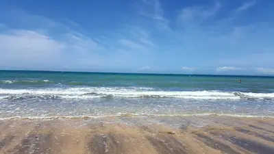 Mairangi Bay Beach in Mairangi Bay