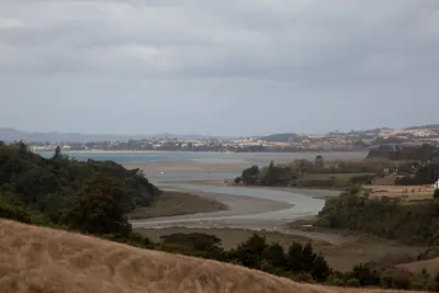 Mangemangeroa Reserve, photo 2