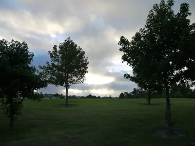 Moire Park, photo 3
