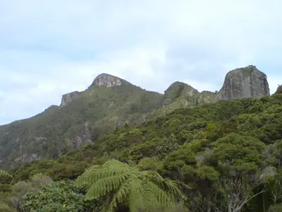 Mount Hobson (Ōhinerau), photo 2