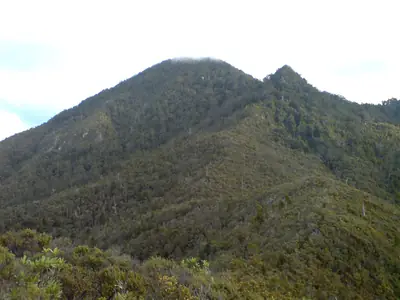 Mount Hobson (Ōhinerau), photo 3