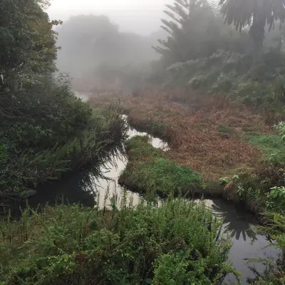 Mount Richmond Domain (Ōtāhuhu), photo 2