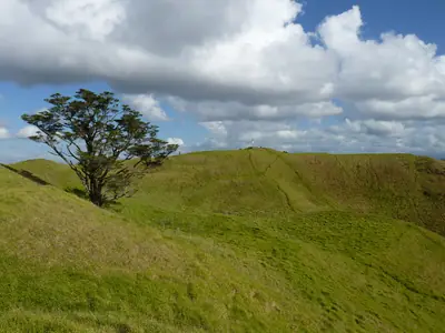 Mount Wellington Domain (Maungarei), photo 4