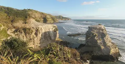 Muriwai Regional Park in Muriwai