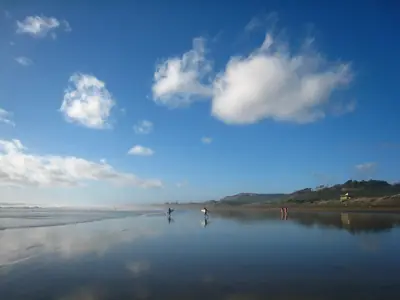 Muriwai Regional Park, photo 4