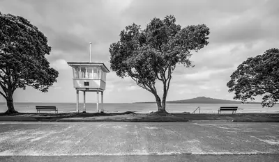 Narrow Neck Beach, photo 4