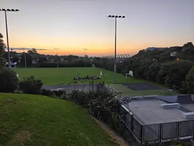Nixon Park in Kingsland