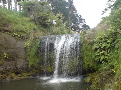 Ōakley Creek Walkway (Te Auaunga), photo 2