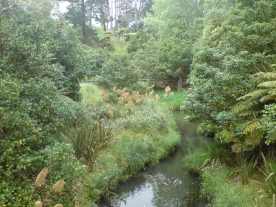Ōakley Creek Walkway (Te Auaunga), photo 3