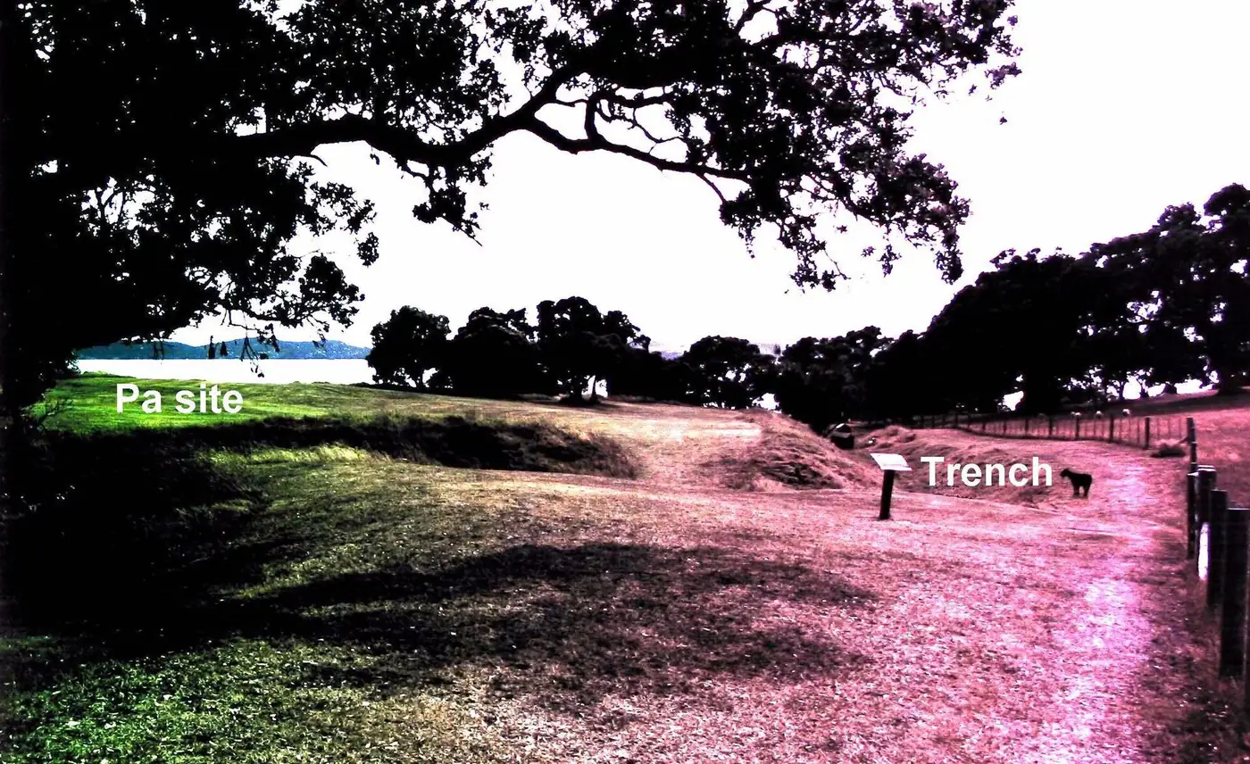 Ōmana Regional Park (Ō Manawatere) in Maraetai