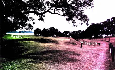 Ōmana Regional Park (Ō Manawatere) in Maraetai