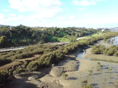 Onehunga Bay Reserve, photo 2