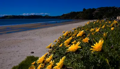 Onetangi Beach, photo 2