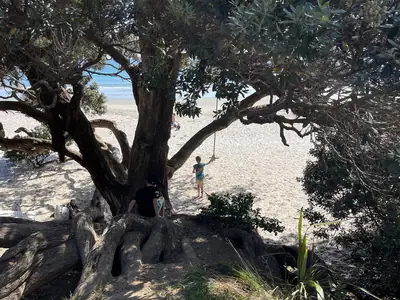 Onetangi Beach, photo 3