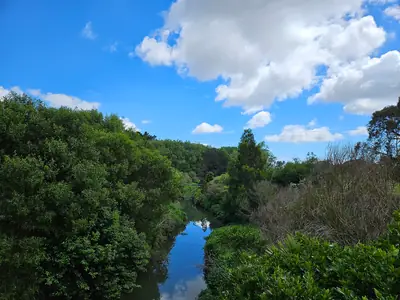 Ōtara Lake and Waterways, photo 3