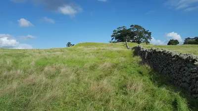 Ōtuataua Stonefields Historic Reserve, photo 2