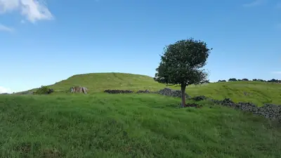 Ōtuataua Stonefields Historic Reserve, photo 4