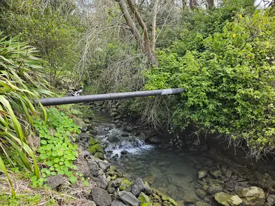Panmure Basin (Te Kai a Hiku), photo 3