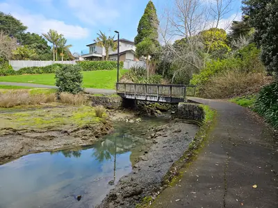Panmure Basin (Te Kai a Hiku), photo 4