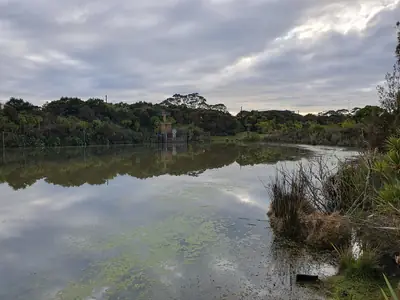 Paremuka Lakeside, photo 3