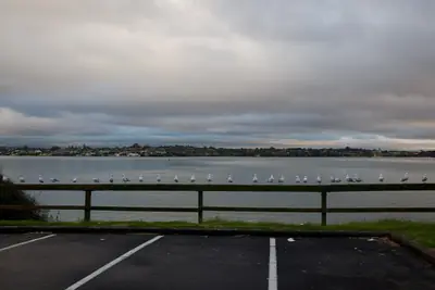 Point England Reserve, photo 3