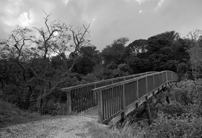 Point England Reserve, photo 4