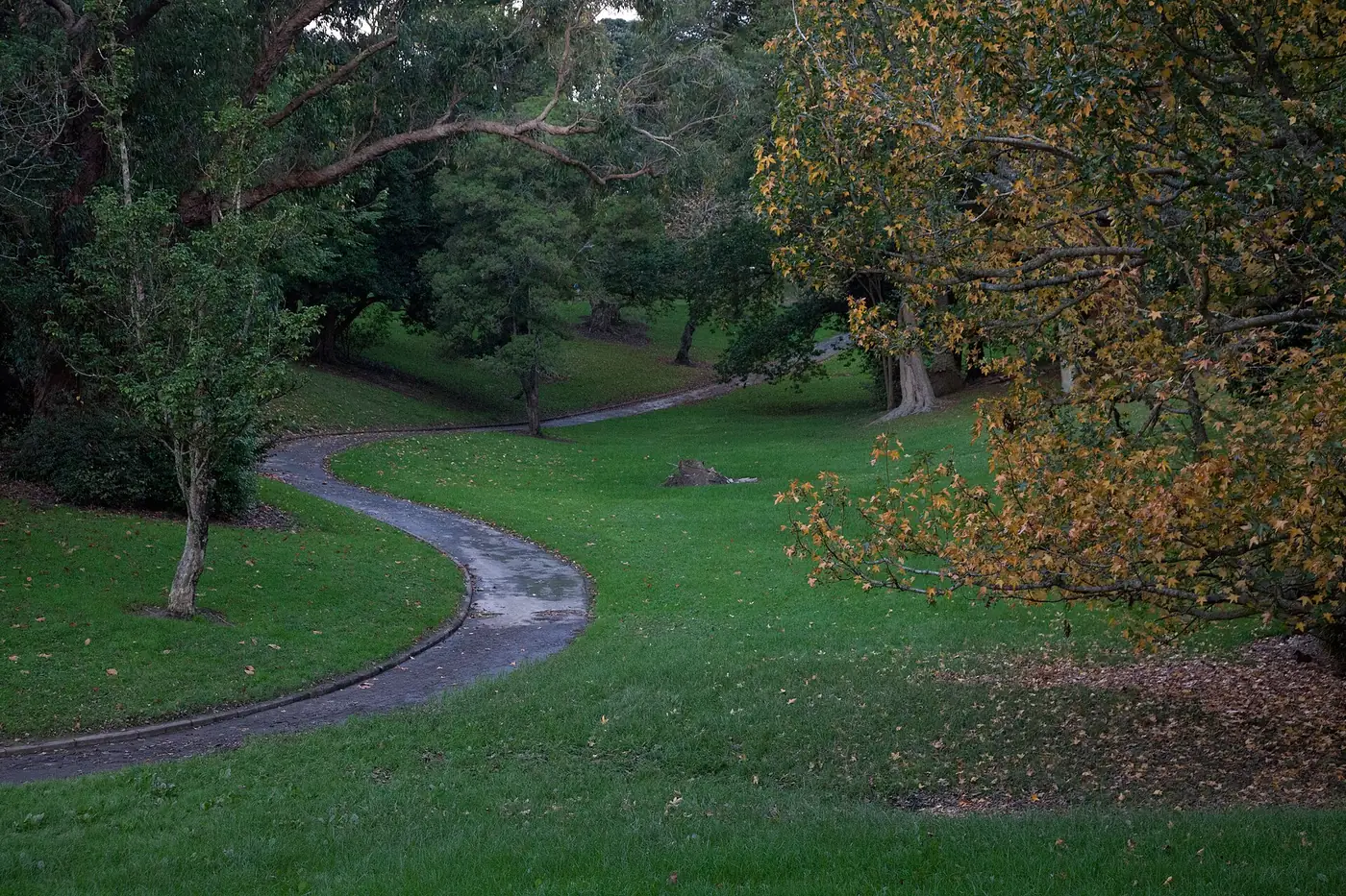 Point Erin Park in Herne Bay