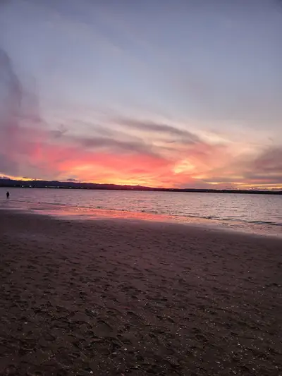 Point Chevalier Beach, photo 2
