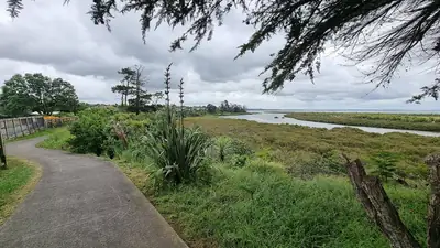 Puhinui Reserve in Wiri