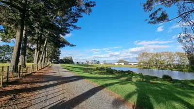 Puhinui Reserve, photo 2