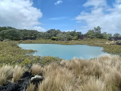 Rangitoto Island Scenic Reserve, photo 4