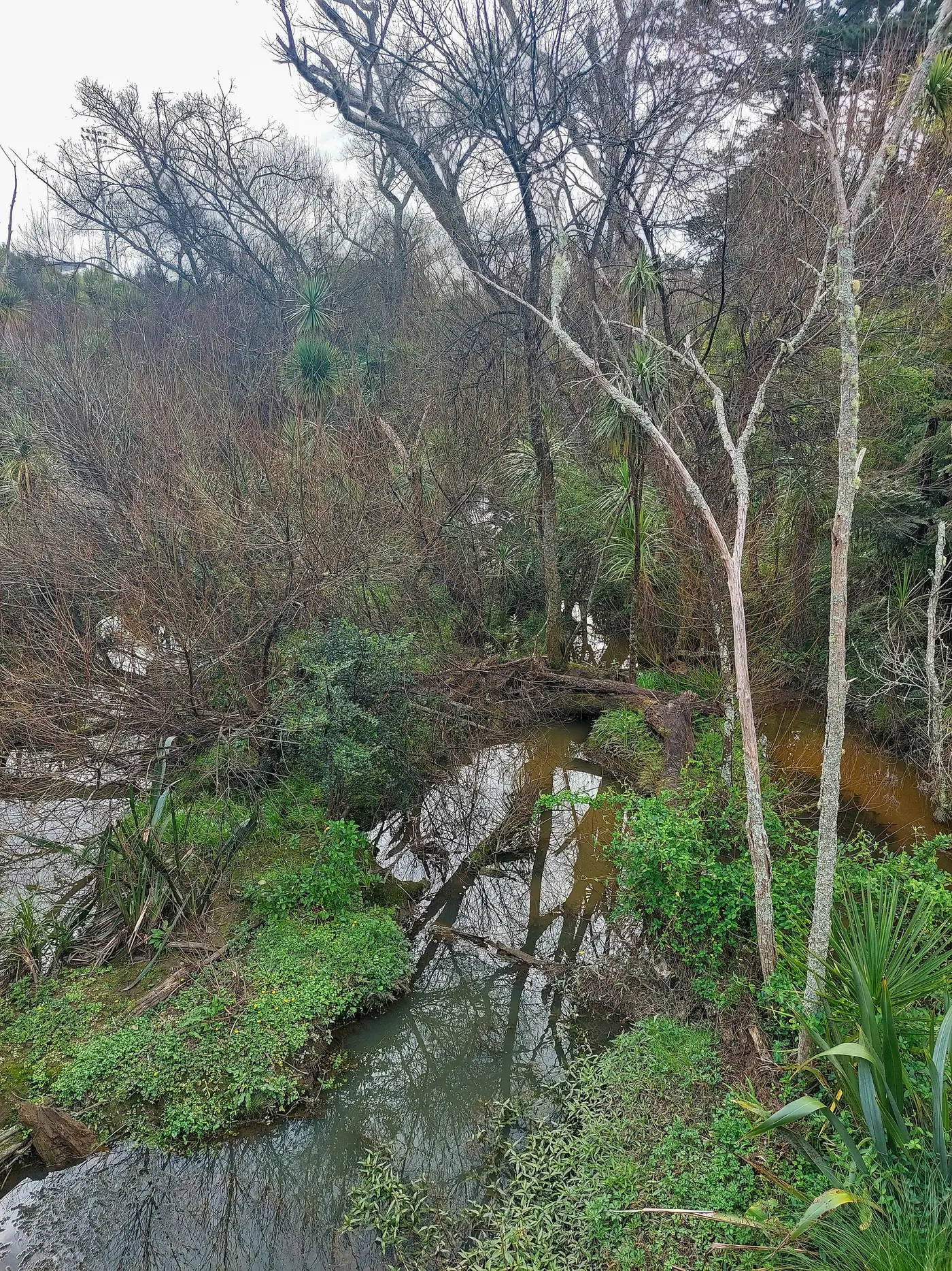 Rosedale Park in Albany