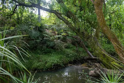 Rosedale Park, photo 3