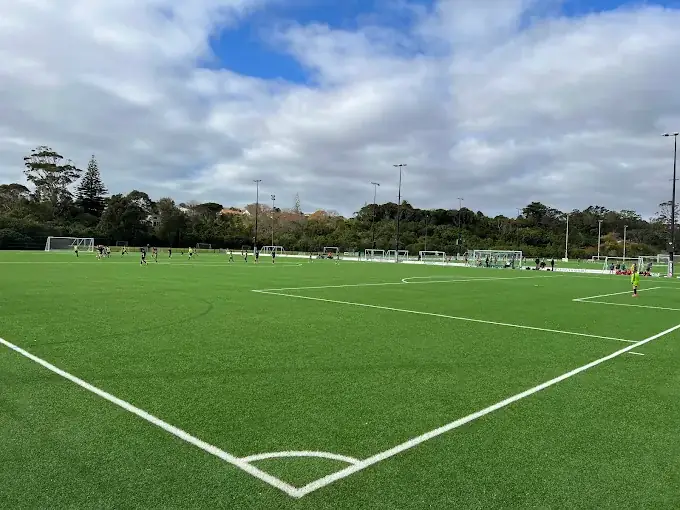 Seddon Fields in Westmere