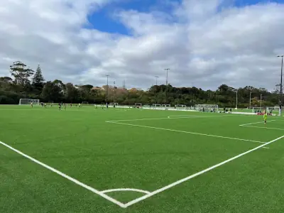 Seddon Fields in Westmere