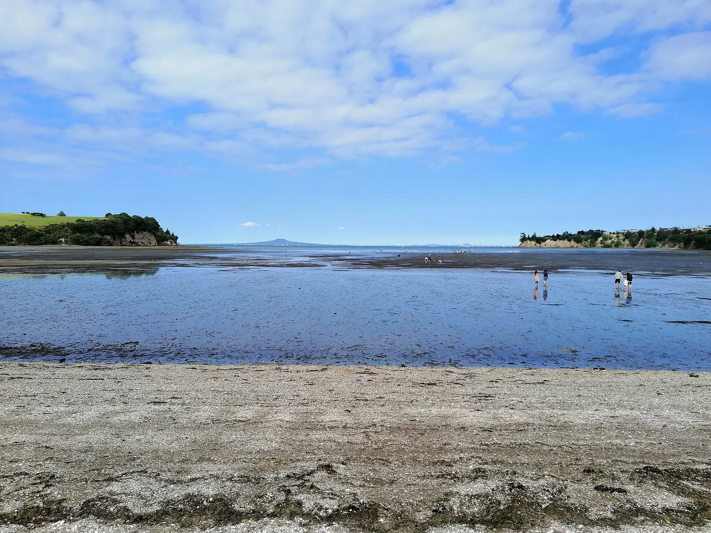 Shakespear Regional Park (Te Hāruhi) in Army Bay